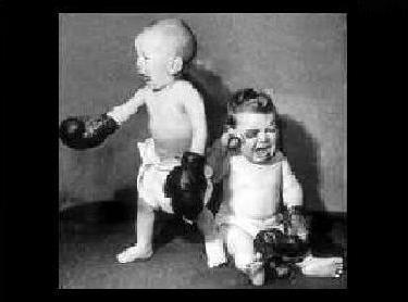 fight!